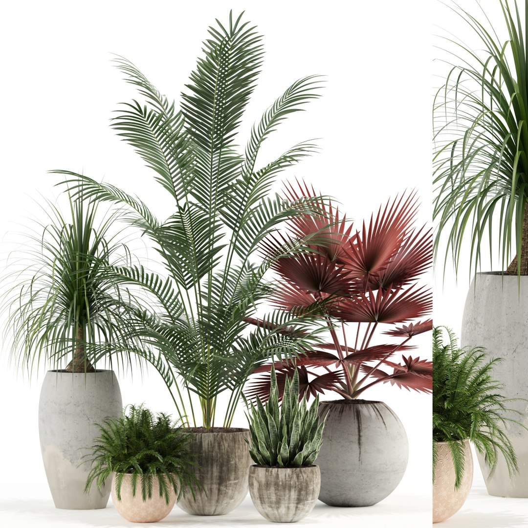 3D plants 122 https://p.turbosquid.com/ts-thumb/FN/SPlrDl/zeRV1ubP/plant_122_01/jpg/1538721653/1920x1080/fit_q87/fe0c493fb3edb6d45b7c116a46c77b055e7c04b5/plant_122_01.jpg