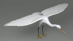 3D egret rigged animation model