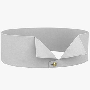 3D Stiff Rigid Collar model