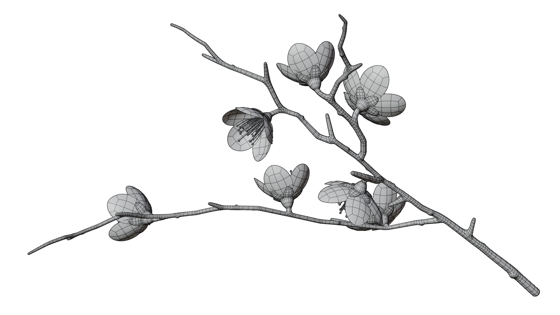 Sakura Branches 07 3D https://p.turbosquid.com/ts-thumb/FN/bAJRhK/6a/sakurabranches_07_wire_05/png/1729597570/1920x1080/fit_q87/c24f4ce636c6411538393e607d1b206285d35c45/sakurabranches_07_wire_05.jpg