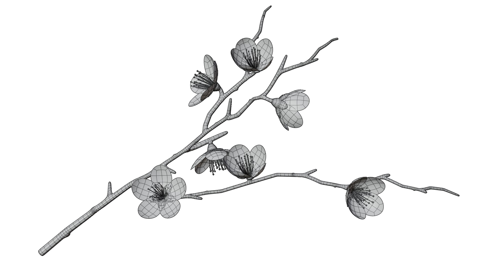 Sakura Branches 07 3D https://p.turbosquid.com/ts-thumb/FN/bAJRhK/o5/sakurabranches_07_wire_01/png/1729597567/1920x1080/fit_q87/f63c396d28d4afe9fda922d6440b884d35538533/sakurabranches_07_wire_01.jpg