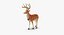 reindeer 08 3D model
