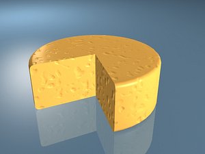 3d slice cheese model