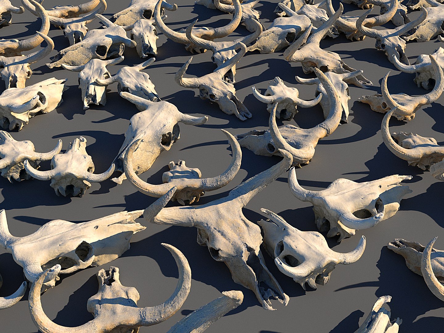 3D animals skeleton skull pack https://p.turbosquid.com/ts-thumb/FN/rkO7hf/4cdfxtE2/88789090/jpg/1591215390/1920x1080/fit_q87/bb35d609cea7c034271f79562ec2327803ce0557/88789090.jpg