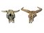Teschio di animali Pack 2