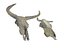 Teschio di animali Pack 2