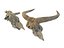 Teschio di animali Pack 2