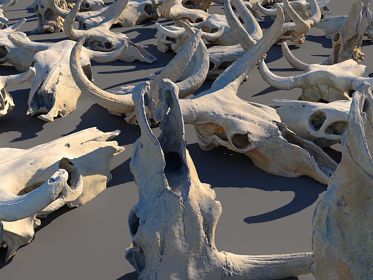 3D animals skeleton skull pack https://p.turbosquid.com/ts-thumb/FN/rkO7hf/hDwIfAUb/777678/jpg/1591215390/1920x1080/fit_q87/b428401173065437951c7b621ba1106cf4cb7759/777678.jpg