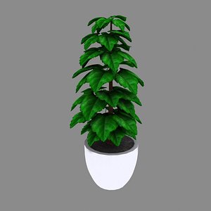 3D model Indoor Plant Pot