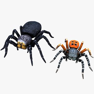 3D Ladybird Spider Male and Black Female Set model