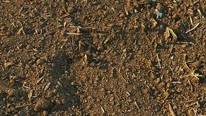 Loose soil material 03