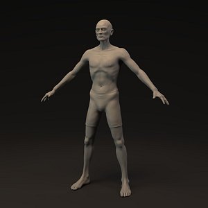 Human Male - Skinny Man Base Mesh