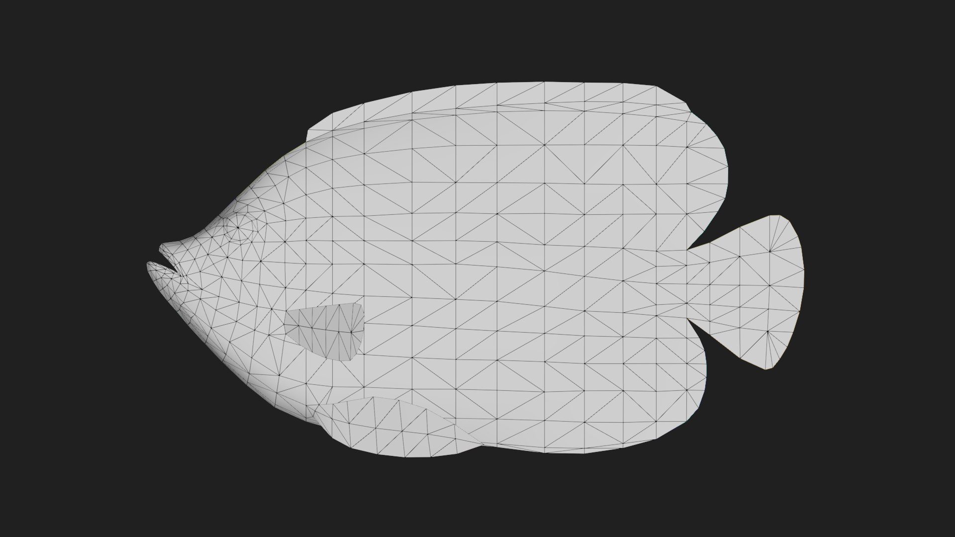 Butterflyfish 3D Model - TurboSquid 2122893