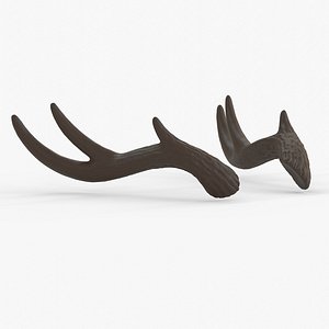 3D Large Wavy Antlers - Kiki