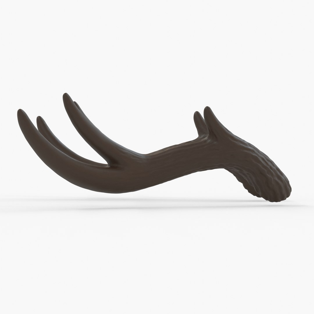 3D Large Wavy Antlers - Kiki https://p.turbosquid.com/ts-thumb/FO/jBRJe2/r6/side/jpg/1637000664/1920x1080/fit_q87/b3c85f840b2fbd26e63bb8c6f3ca4b81dafa7f2b/side.jpg