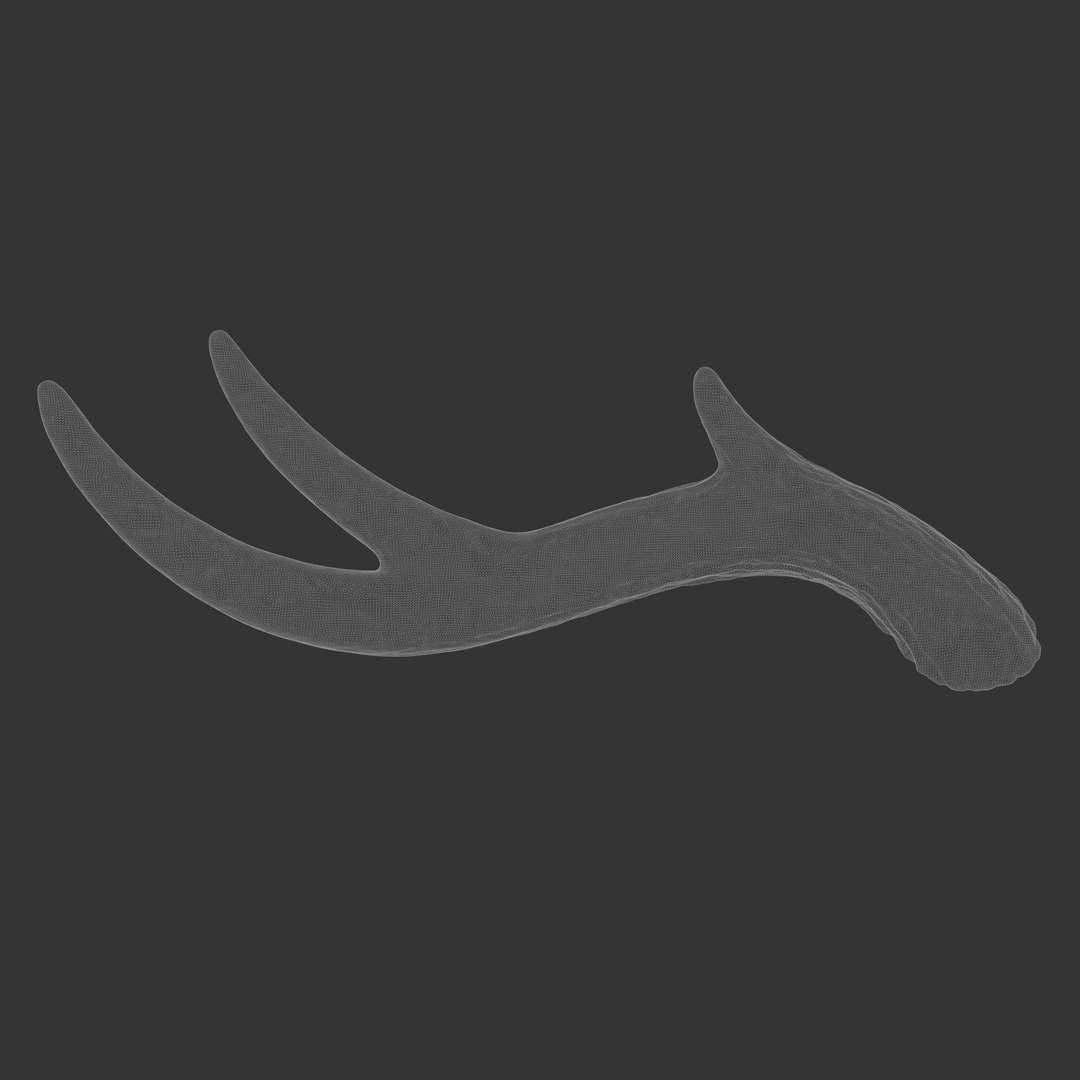 3D Large Wavy Antlers - Kiki https://p.turbosquid.com/ts-thumb/FO/jBRJe2/to/wireframe/jpg/1637000667/1920x1080/fit_q87/4f19265e8517866ed50d688059a3d76bbe37ef28/wireframe.jpg