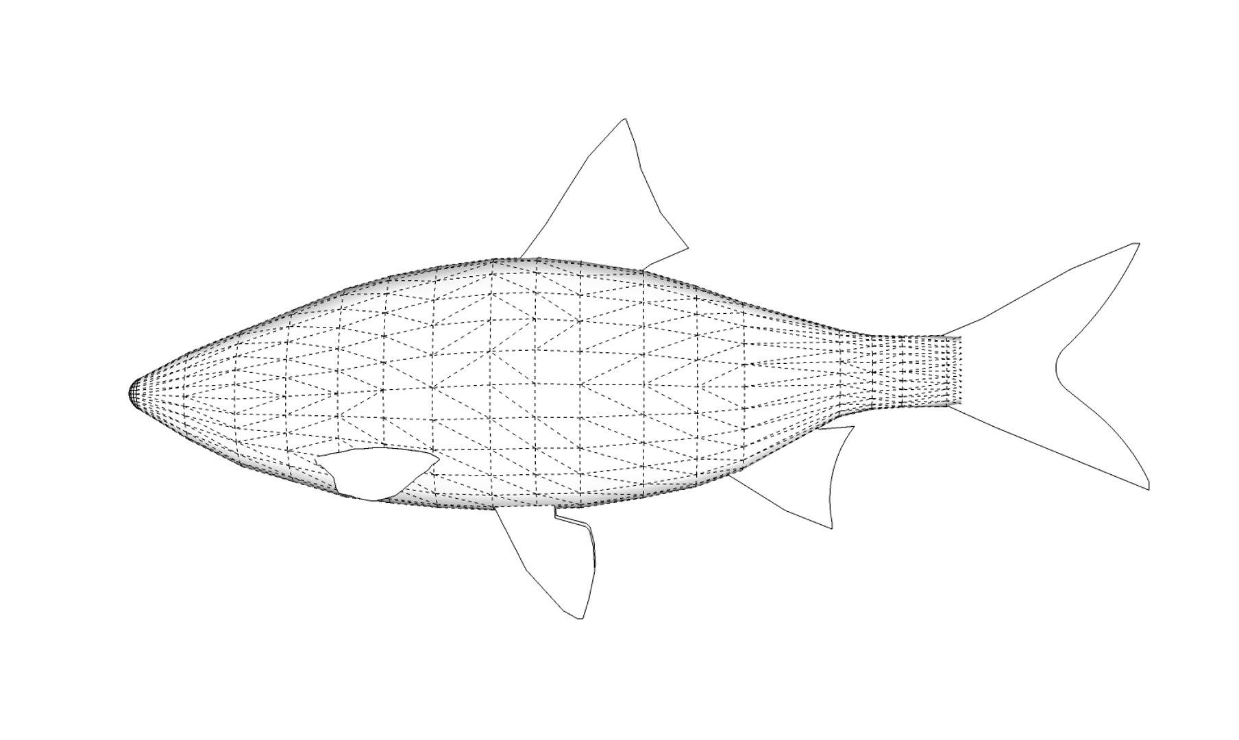 fish roach 3D model https://p.turbosquid.com/ts-thumb/FO/lYgzwu/2VzjYg0Z/roach10/jpg/1599330233/1920x1080/fit_q87/6aaeea2cc6812c0804821b61e1248bf6f840118c/roach10.jpg