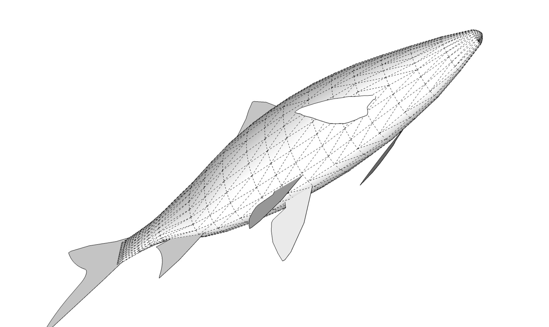 fish roach 3D model https://p.turbosquid.com/ts-thumb/FO/lYgzwu/I5ruTUyr/roach13/jpg/1599330233/1920x1080/fit_q87/f18596e7b6927c374b4f2c9c4793be34096ede81/roach13.jpg