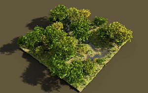 shadows brook tree 3D model