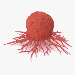 Tumor