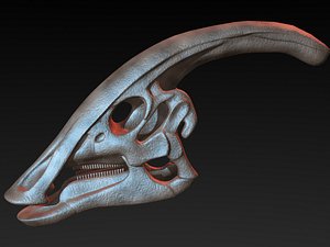 3D parasaurolophus skull model