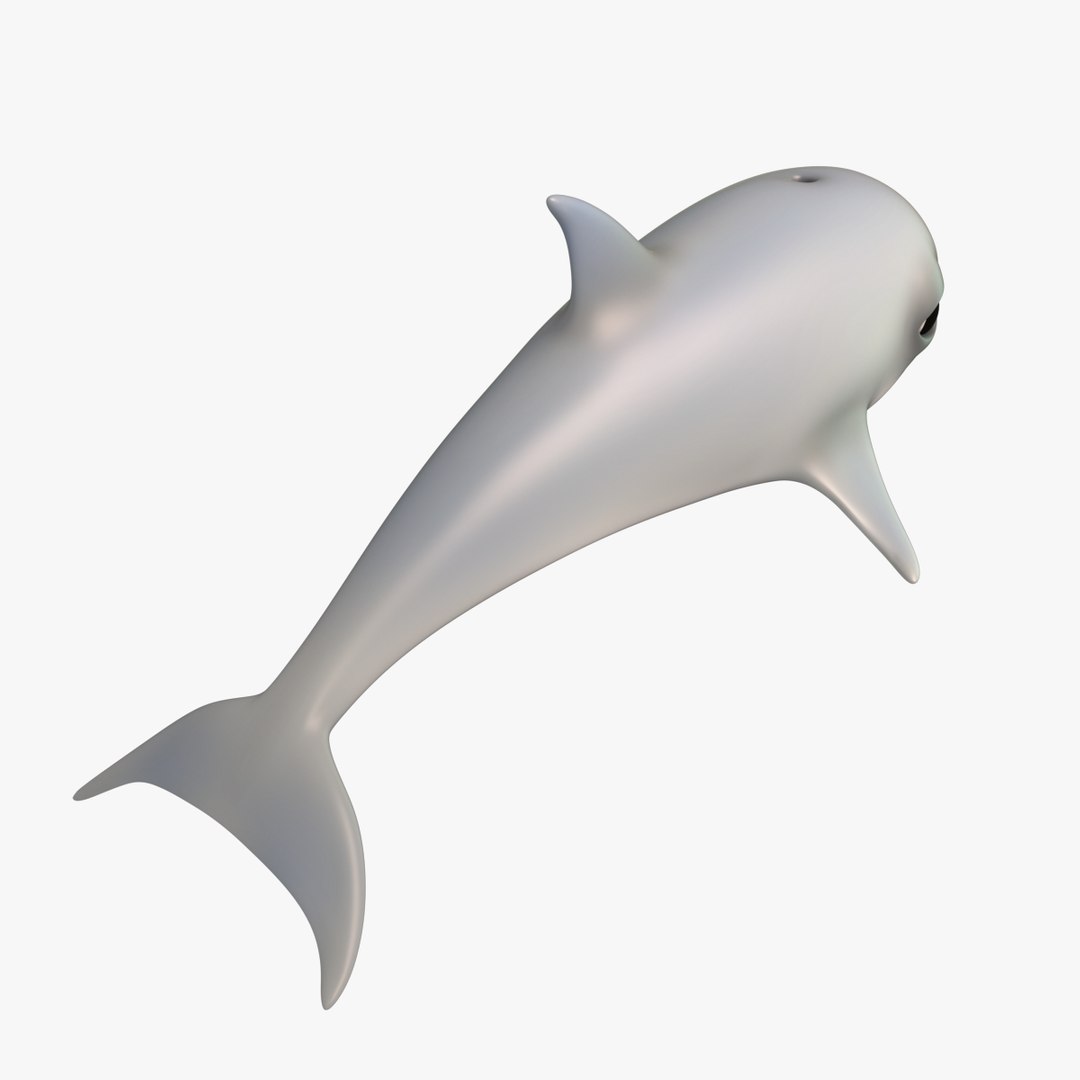 3D cute cartoon dolphin https://p.turbosquid.com/ts-thumb/FO/vCwkV0/WC73YjjI/8thpresentationimagedolphin/png/1582235064/1920x1080/fit_q87/71754cd31ef937c86eaf1917f2d81253a826272c/8thpresentationimagedolphin.jpg