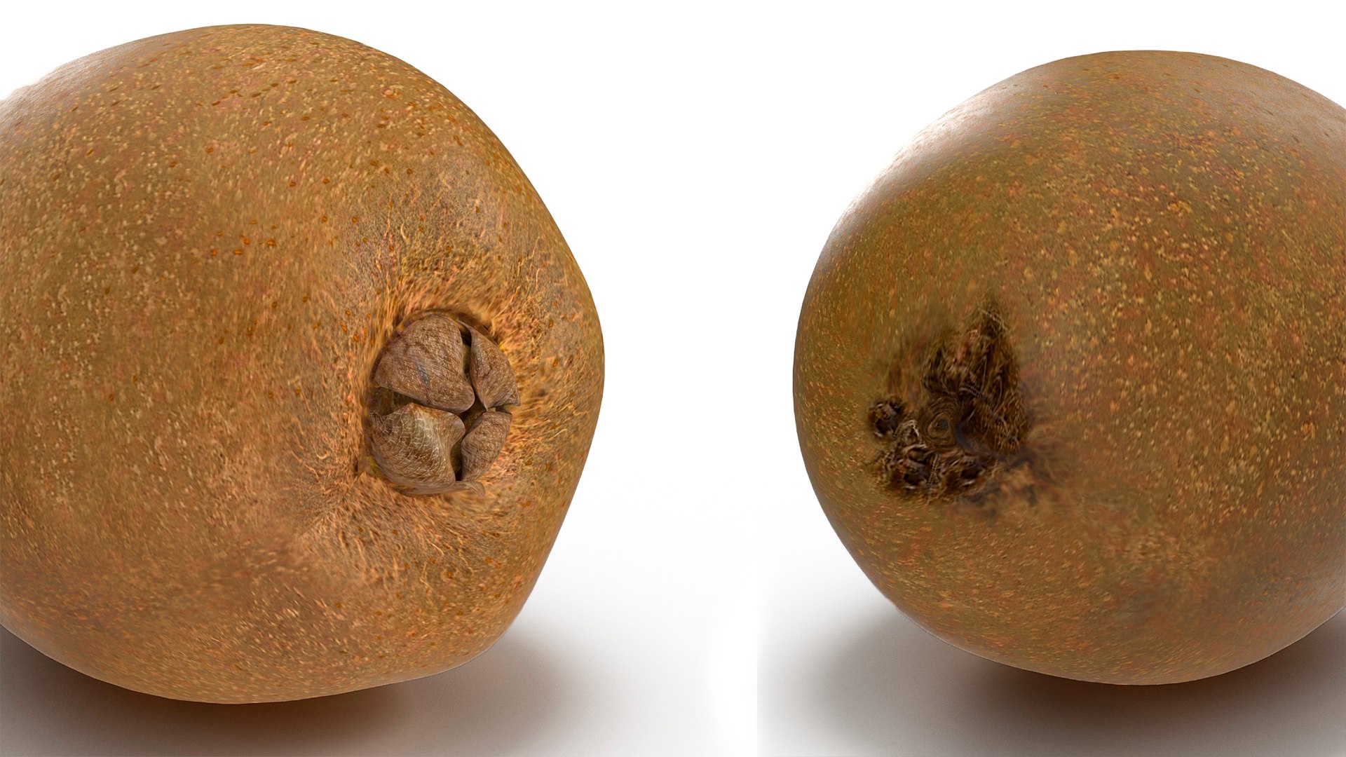 3D model Fruits Collection 15 https://p.turbosquid.com/ts-thumb/FO/zL6QyY/fC/fruits_collection_15_004/jpg/1747049741/1920x1080/fit_q87/e2008f9e5088cca09b42b6ebf03351078d5085ea/fruits_collection_15_004.jpg