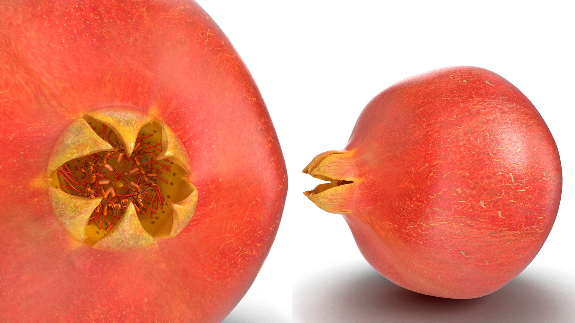 3D model Fruits Collection 15 https://p.turbosquid.com/ts-thumb/FO/zL6QyY/r8/fruits_collection_15_007/jpg/1747049742/1920x1080/fit_q87/7fa60f13697169f46ce37861b92c96bea0d70872/fruits_collection_15_007.jpg