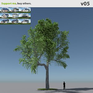 Tree Oak V5