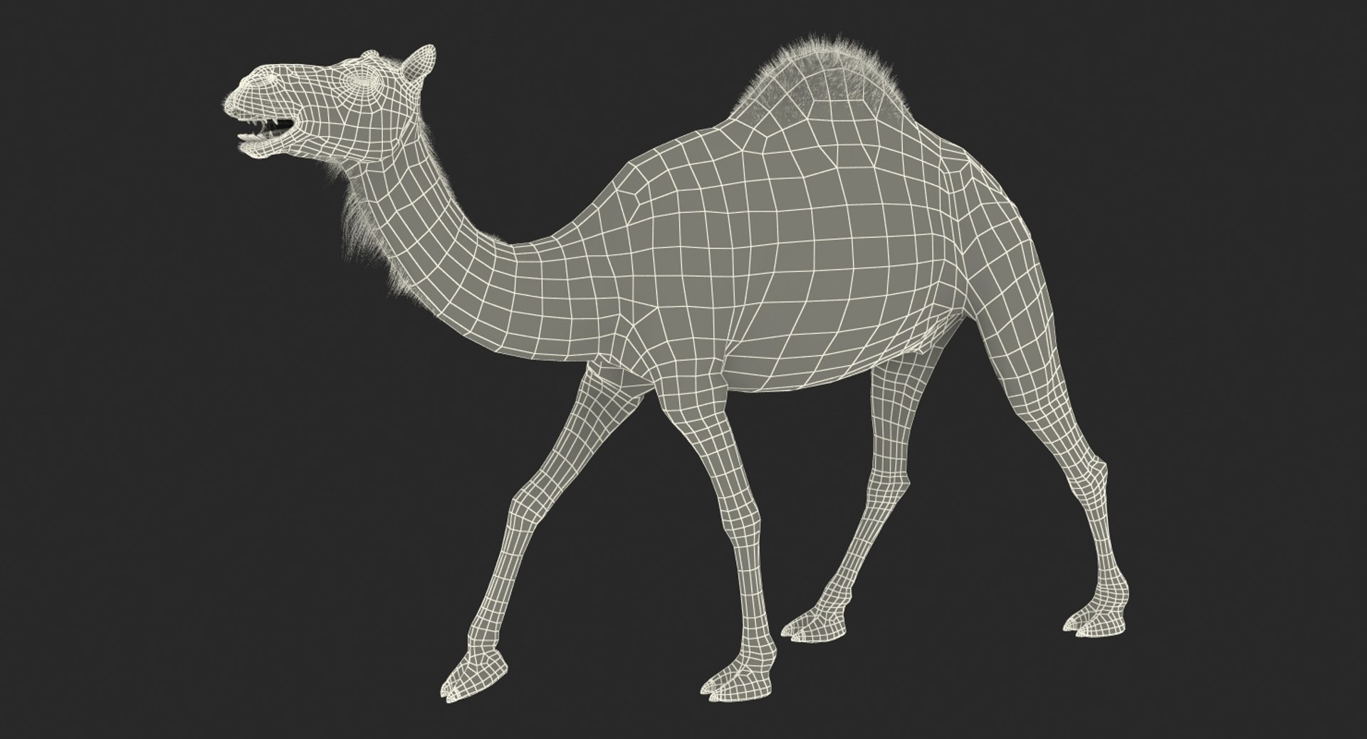 camel walking pose max https://p.turbosquid.com/ts-thumb/FP/2n6iH6/BWuIKrCP/camelwalkingpose3dsmodel014/jpg/1487236843/1920x1080/fit_q87/43f1bf5e454227c9709ee0401f4947203c66689b/camelwalkingpose3dsmodel014.jpg