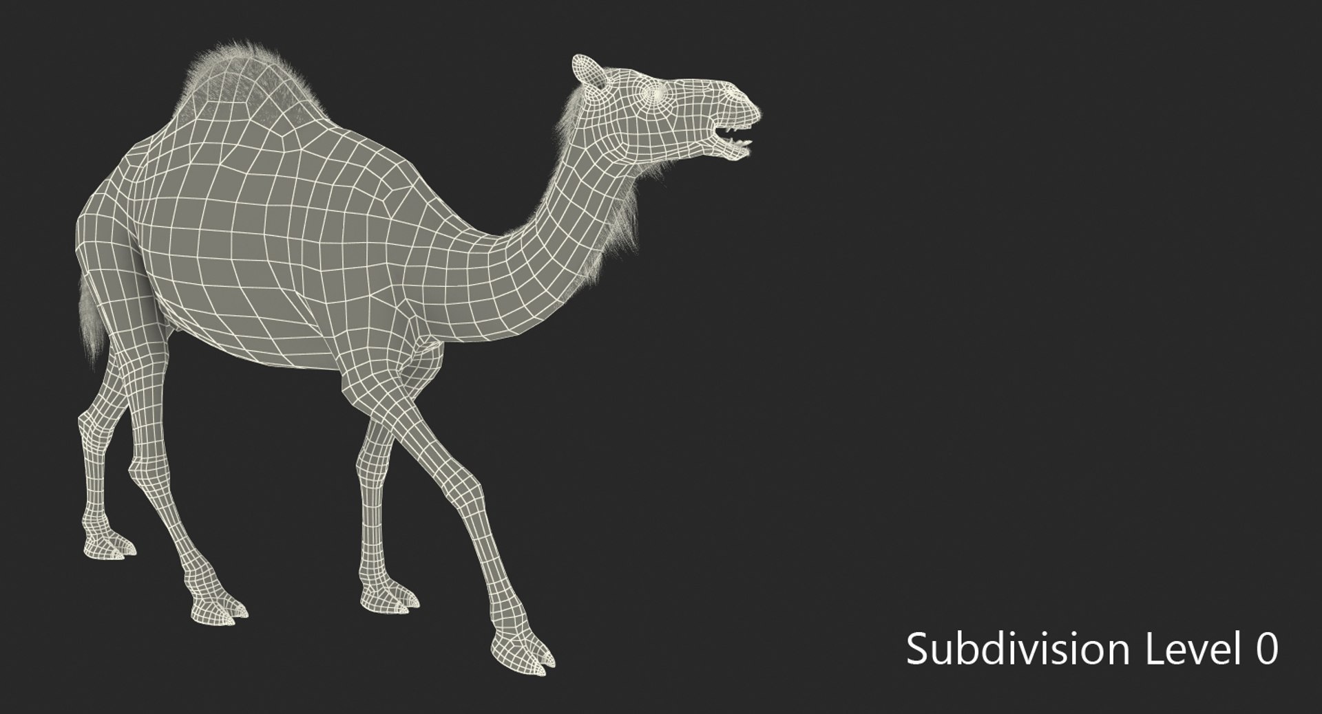 camel walking pose max https://p.turbosquid.com/ts-thumb/FP/2n6iH6/G71XUuBF/camelwalkingpose3dsmodel007/jpg/1487236843/1920x1080/fit_q87/2a615aa7fff200c852524723299d4146265cbb2c/camelwalkingpose3dsmodel007.jpg