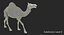 Chamel Walking Pose Modèle 3D