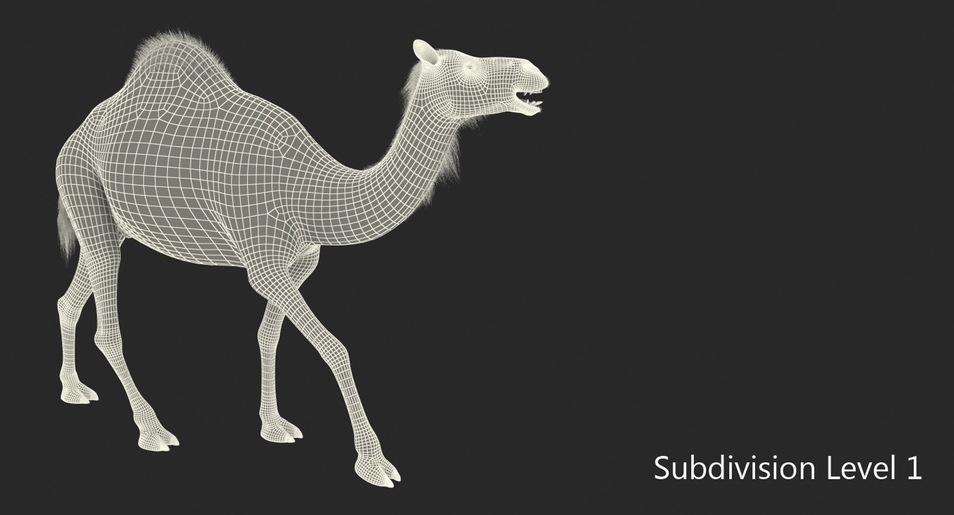 camel walking pose max https://p.turbosquid.com/ts-thumb/FP/2n6iH6/iK3zkbS3/camelwalkingpose3dsmodel008/jpg/1487236843/1920x1080/fit_q87/03ed399ca430348d95cbf3dac11808c244dd8e16/camelwalkingpose3dsmodel008.jpg