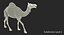 Chamel Walking Pose Modèle 3D