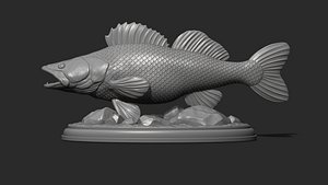 Zander on the base 3D model