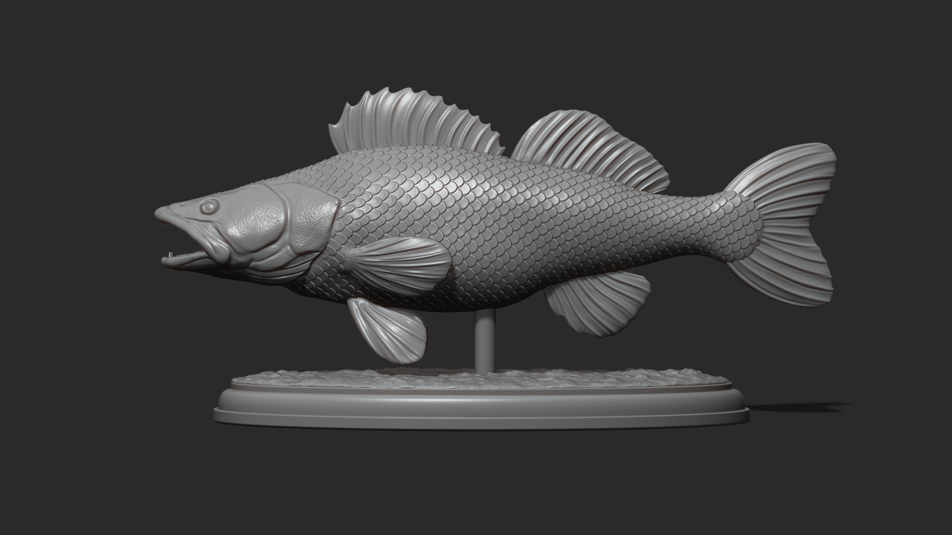 Zander on the base 3D model - TurboSquid 2182925