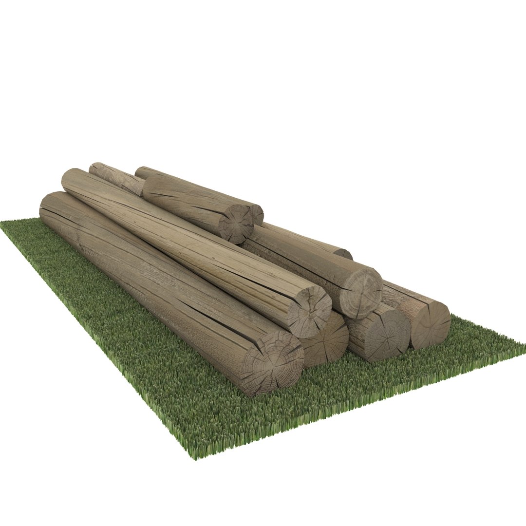 Old Logs 3d Model