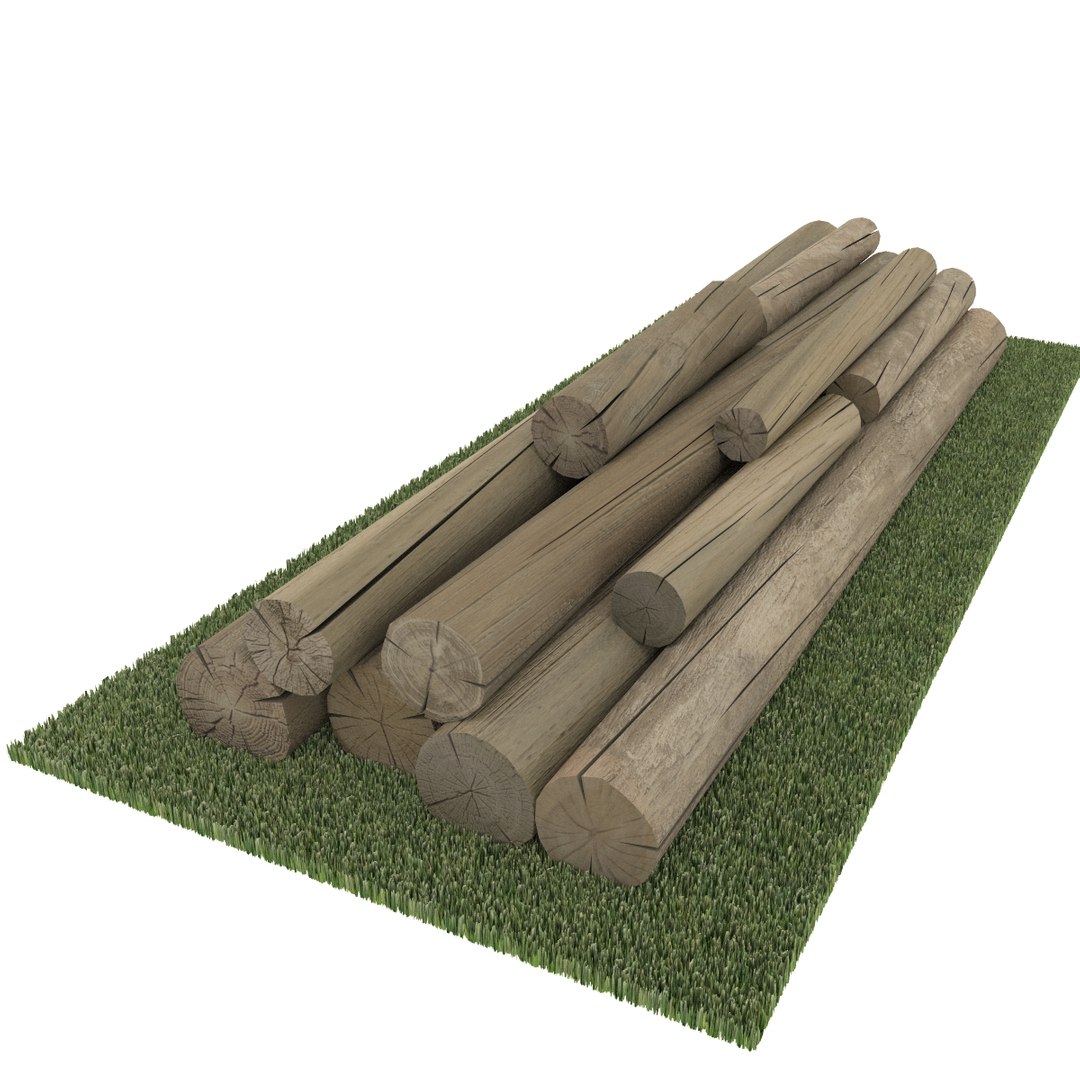 Old Logs 3d Model