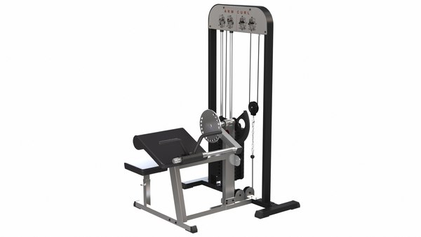 GYM Arm Biceps and Triceps Curl Machine 3D model - TurboSquid