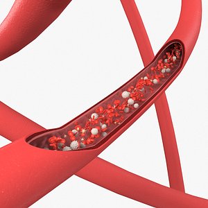Bloodstream Animated