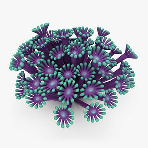poritidae coral animation 3d max