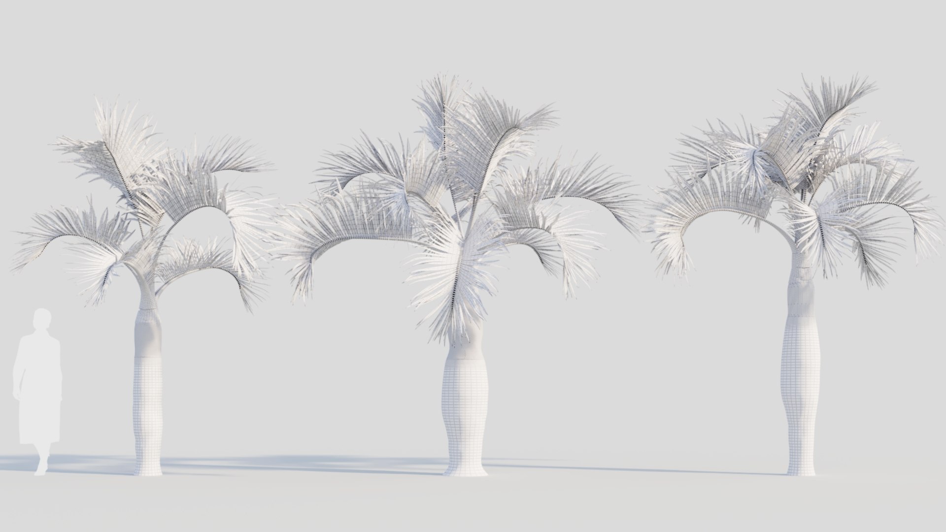 Hyophorbe lagenicaulis b 3D https://p.turbosquid.com/ts-thumb/FP/x8lr9i/Vy/hyophorbelagenicaulisb_2/jpg/1713690129/1920x1080/fit_q87/6869d83e267ca74642a4d6d82d77f7c02f886b94/hyophorbelagenicaulisb_2.jpg