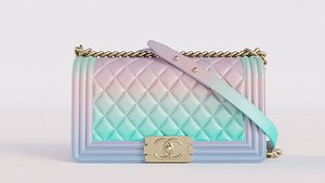 CHANEL BOY RAINBOW 3D model