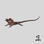 3D Frilled Dragon Crawling Pose model