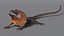 3D Frilled Dragon Crawling Pose model