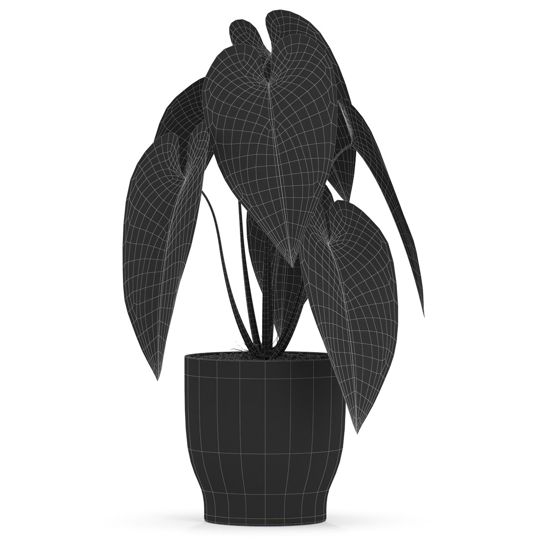 Plants collection 517 3D model https://p.turbosquid.com/ts-thumb/FP/zi9M6X/5y/plant_517_051920width1920px/jpg/1645723759/1920x1080/fit_q87/8b6c8e2b2e2931e9cbffabe15995609e1b10069b/plant_517_051920width1920px.jpg