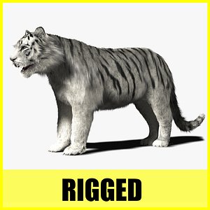 White Tiger - Rigged