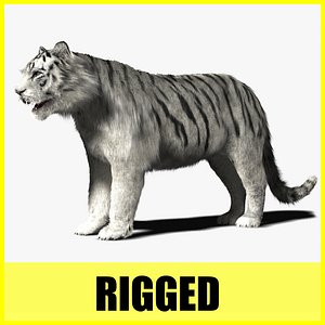 White Tiger - Rigged