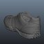 Scan 3D de Skecher Sneaker
