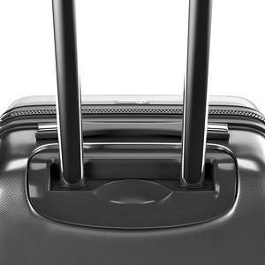 Suitcase Francesko Molinary